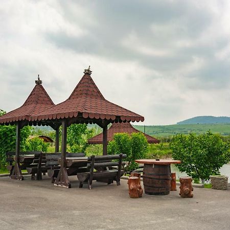 Pastravaria Ursu Vînători-Neamţ Exterior foto